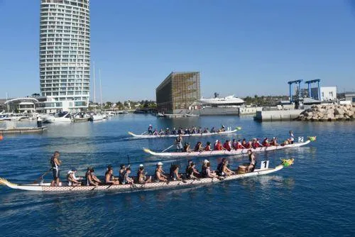 Δεν είχε σχέση με το περιστατικό ανατροπής σκάφους στη Λεμεσό, λέει η Ομοσπονδία Dragon Boat