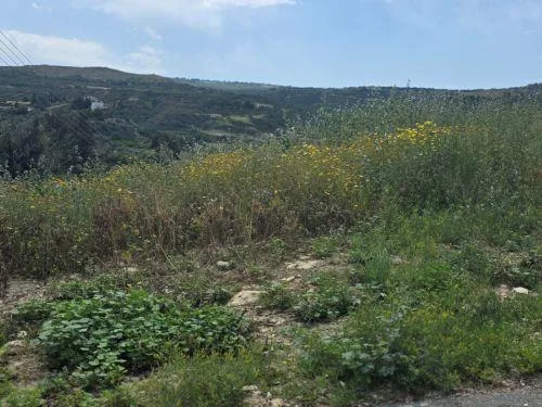 Το Πραιτώρι τίμησε την παράδοση στο Φεστιβάλ Παλουζέ