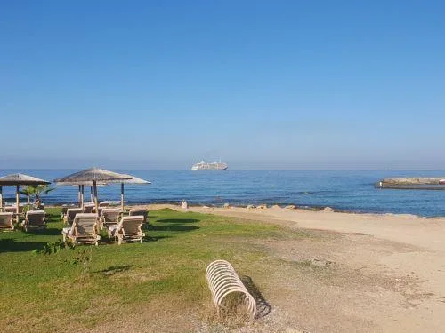 Ανάγκη πλήρους αξιολόγησης των επιπτώσεων επέκτασης του λιμανιού στο Λατσί, λέει ο Πτηνολογικός