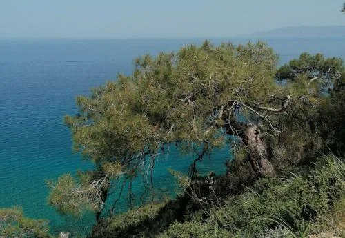 Υπ. Γεωργίας: Σε 8 από 14 οι χώροι εξυπηρέτησης επισκεπτών στον Ακάμα, προωθείται μείωση περιβαλλοντικών επιπτώσεων έργων