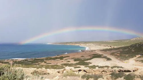Η έκθεση ΕΥ για Ακάμα επιβεβαιώνει διαχρονικές αδυναμίες στον Ακάμα, λέει η BirdLife
