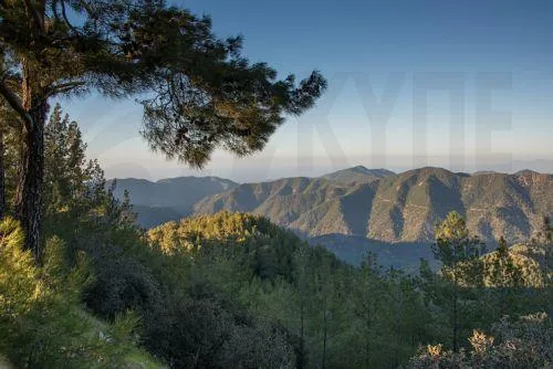 Η ΟΠΟΚ καλεί την ΚΔ να αντιταχθεί σε αποδυνάμωση κανόνων για προστασία φύσης, υδάτων