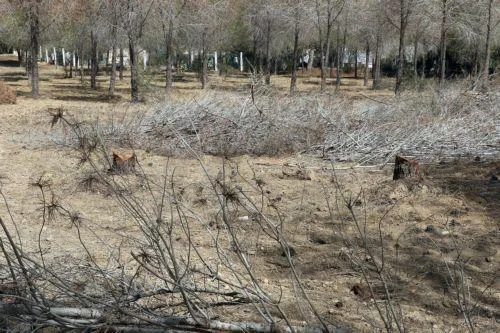 Το Υπουργικό ενέκρινε €4,6 εκατ. σε αγρότες που επλήγησαν από ανομβρία και ξηρασία το 2025