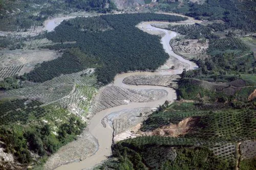 Eπιβραθύνθηκε η αποψίλωση δασών το 2025, παραμένουν όμως οι κίνδυνοι σύμφωνα με στοιχεία