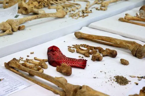 Ολοκληρώθηκε η συλλογή DNA από οικογένειες 11 Ελλαδιτών αγνοουμένων, λέει στο ΚΥΠΕ ο Μ. Χαρτσιώτης
