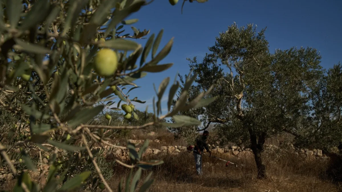 Δυτική Όχθη