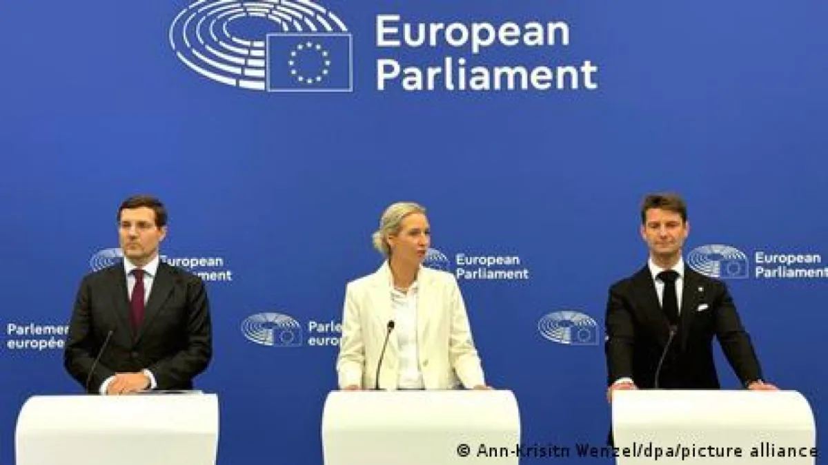 Βάιντελ AfD Στρασβούργο